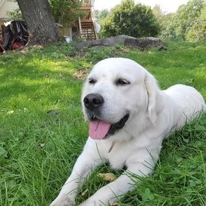 Meet your Posher, Barbara